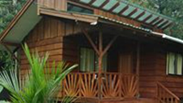 Basic Cabin | Terrace/patio