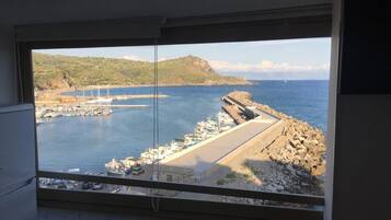 Family Studio, Sea View | View from room