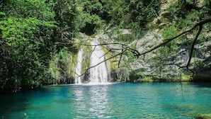 A natural waterfall in a forested area with clear water. - Hotel Alta Garrotxa (Tortella)
