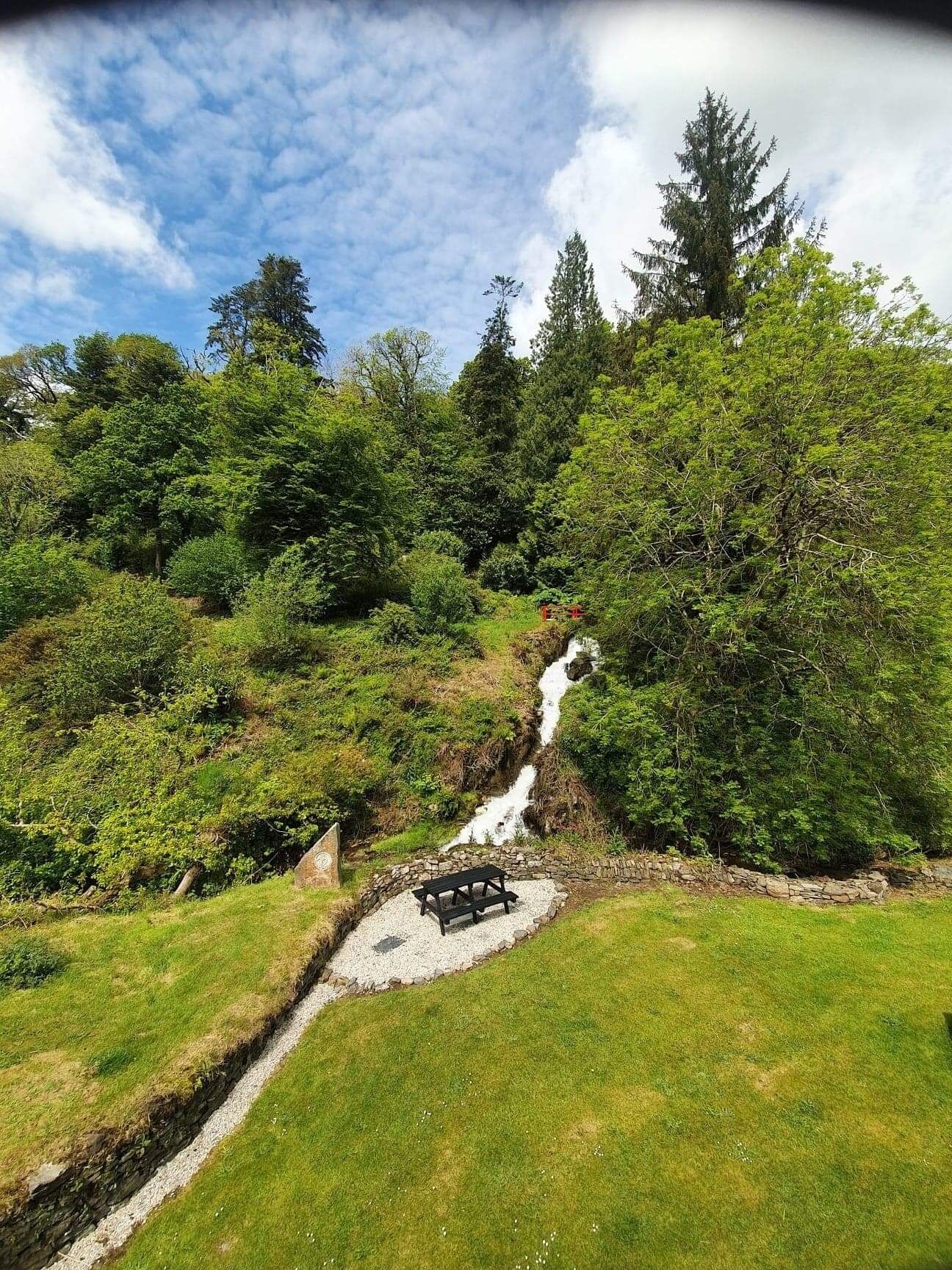 A grassy area with a stone bench and a sign, surrounded by dense trees and a small stream.
