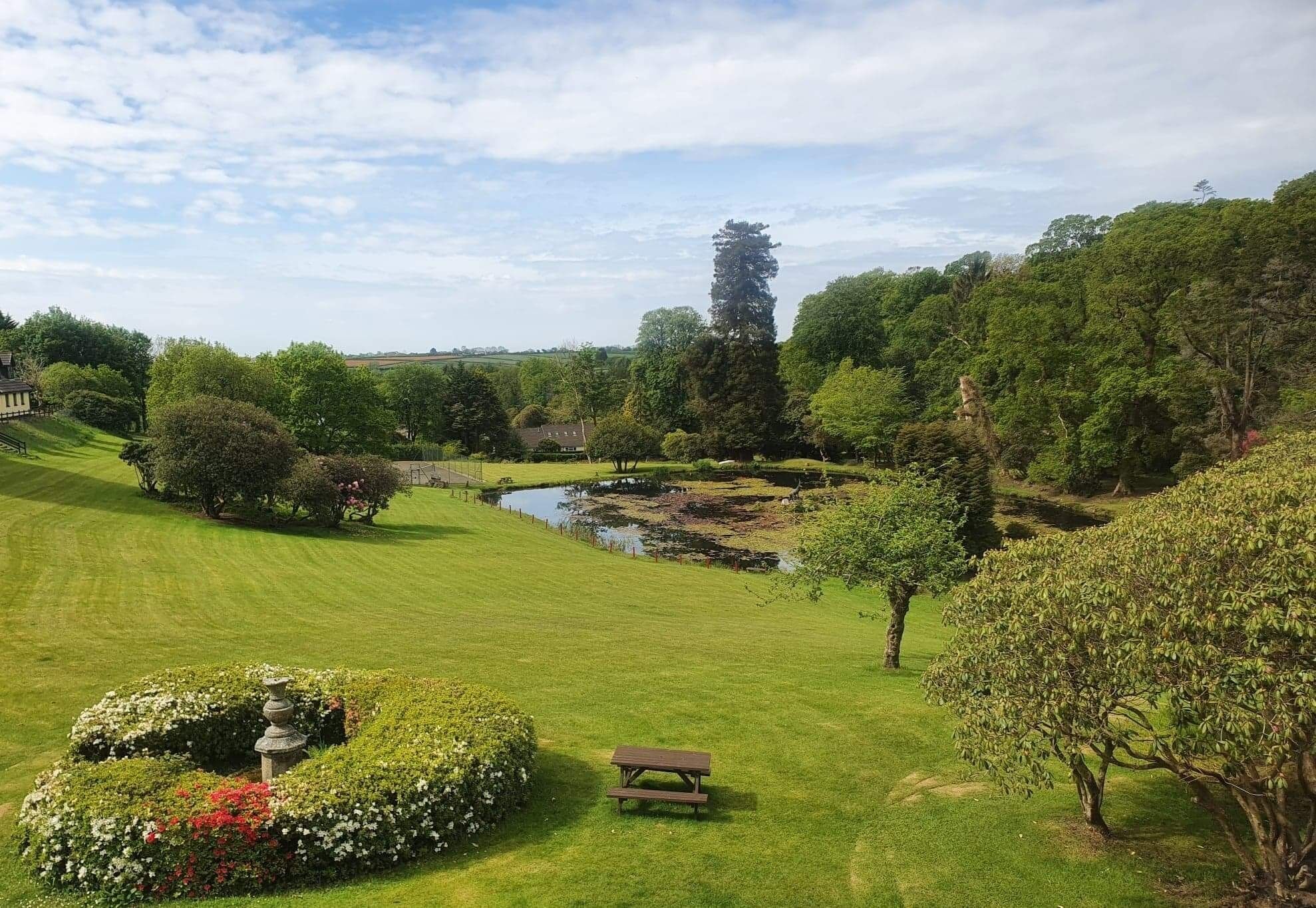 A well-maintained garden with a picnic table, a small pond, and a tall tree.