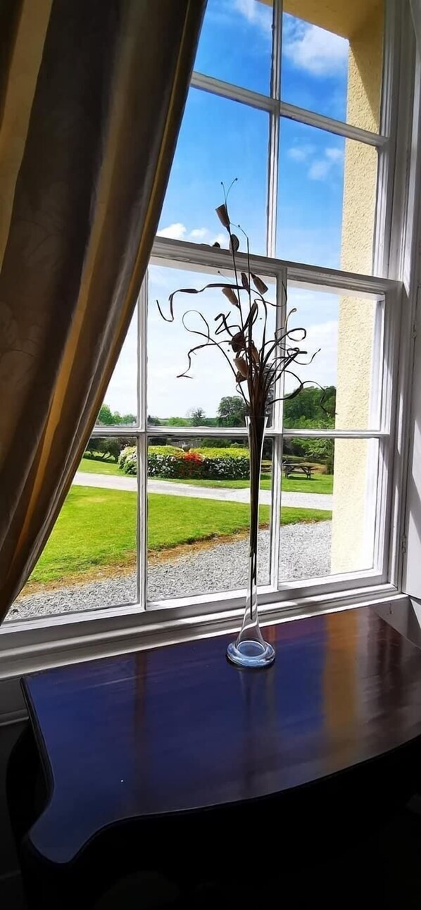 Una ventana con vista a un jardín y un cielo despejado.