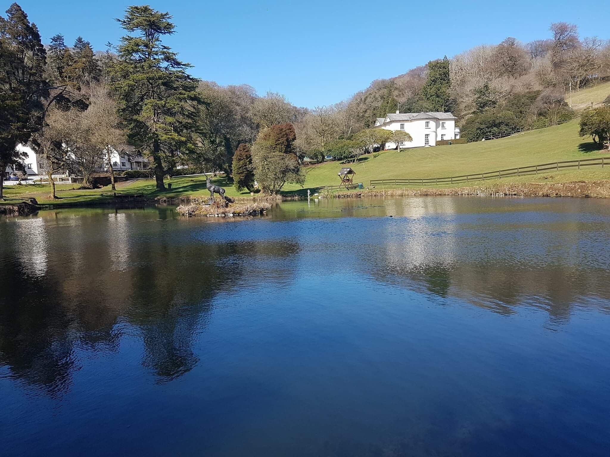 A serene lake with a white building in the background, surrounded by trees and a grassy area.