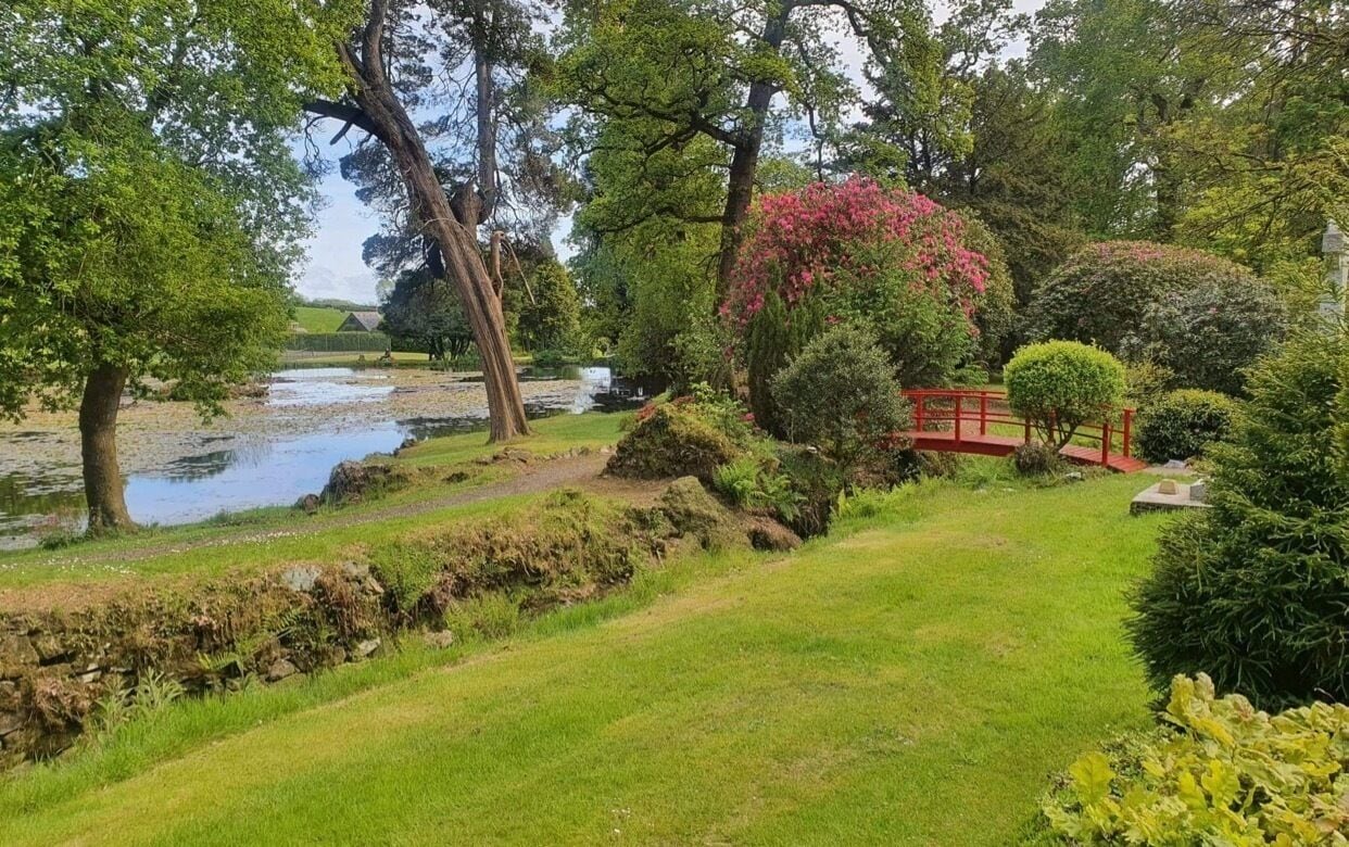 A serene garden with a pond, a red bridge, and lush greenery.