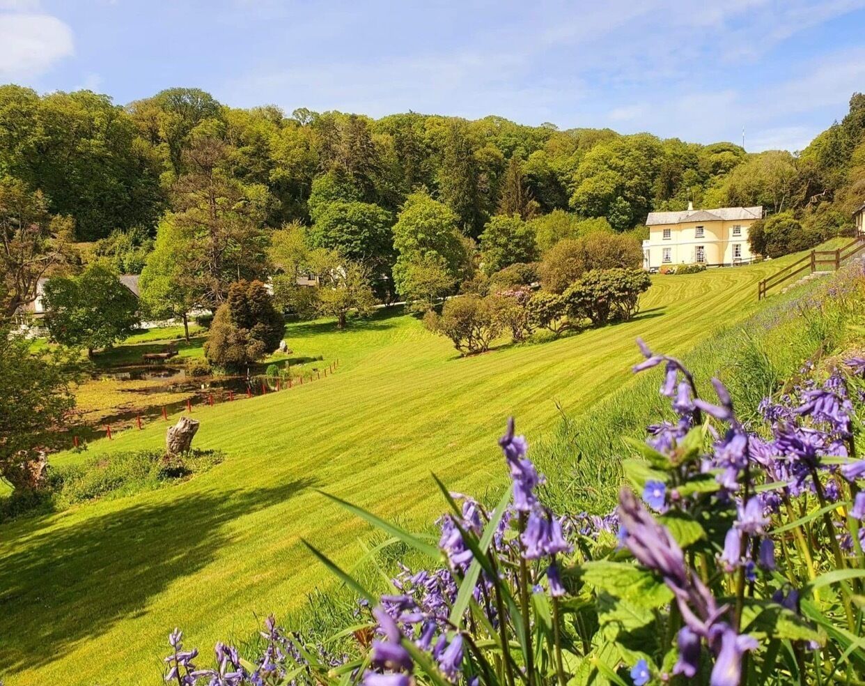 Un champ verdoyant et luxuriant, avec une maison en arrière-plan.