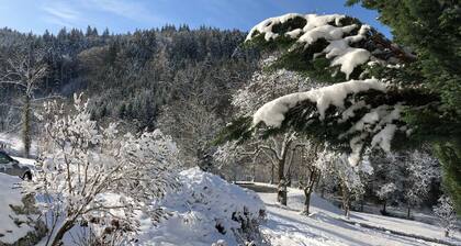 Langmichelhof - Huoneisto 32 m², 1 olohuone / makuuhuone