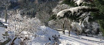 Langmichelhof - Apartment 32sqm, 1 living room / bedroom