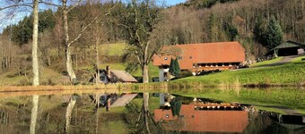 Langmichelhof - Appartement 32m², 1 salon / chambre à coucher