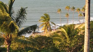 Una playa con palmeras y el océano.