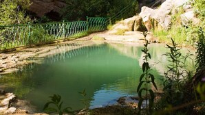 A natural pond surrounded by rocks and greenery, with a green fence in the background. - Kirch Hotel & Restaurant (Goris)
