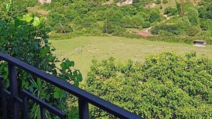 A balcony with a metal railing overlooking a lush green landscape with a hill and rocky outcrops. - Kirch Hotel & Restaurant (Goris)
