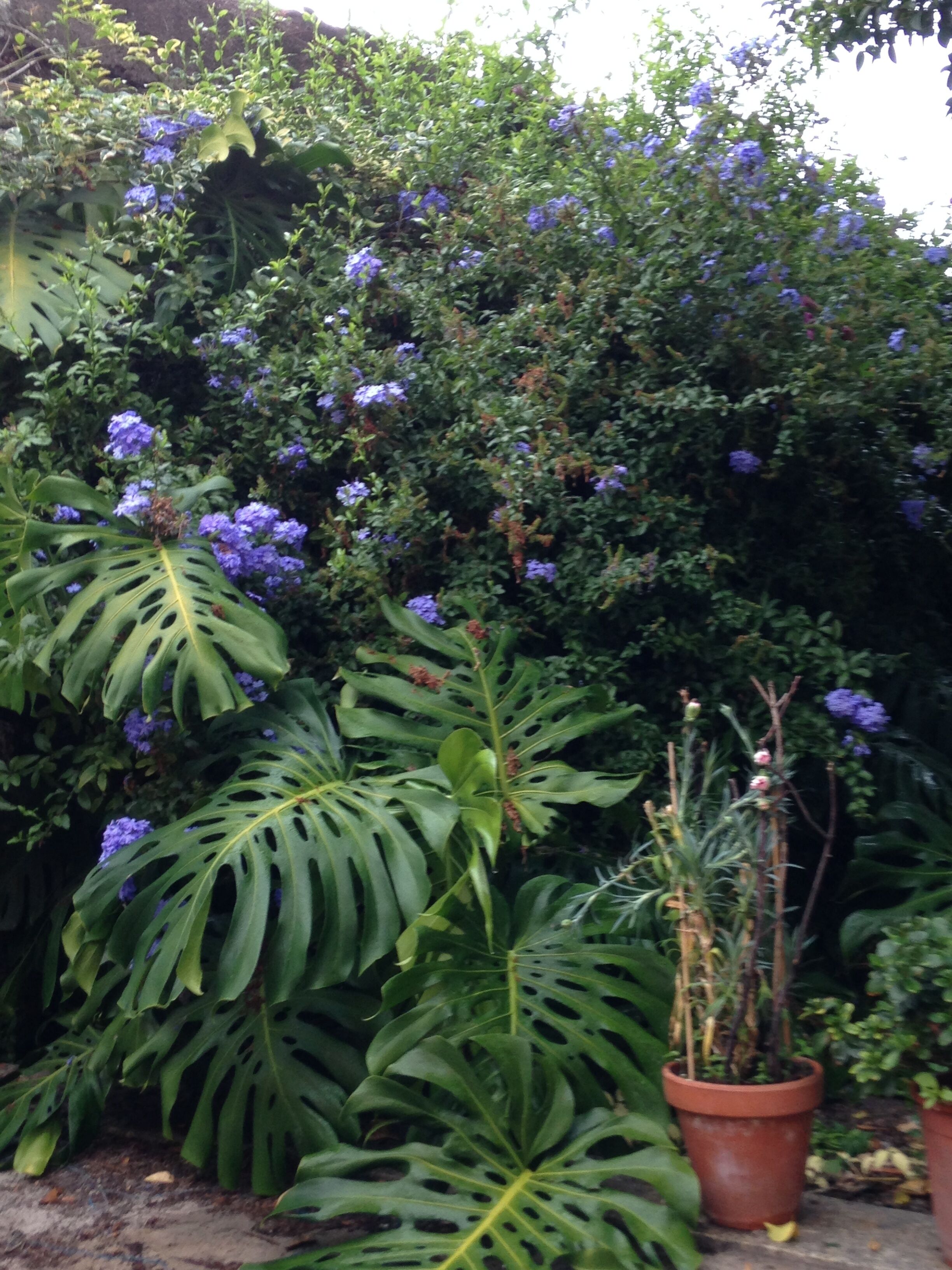 Photo - Palace Museum & National Monument - Espaço Palmeiras