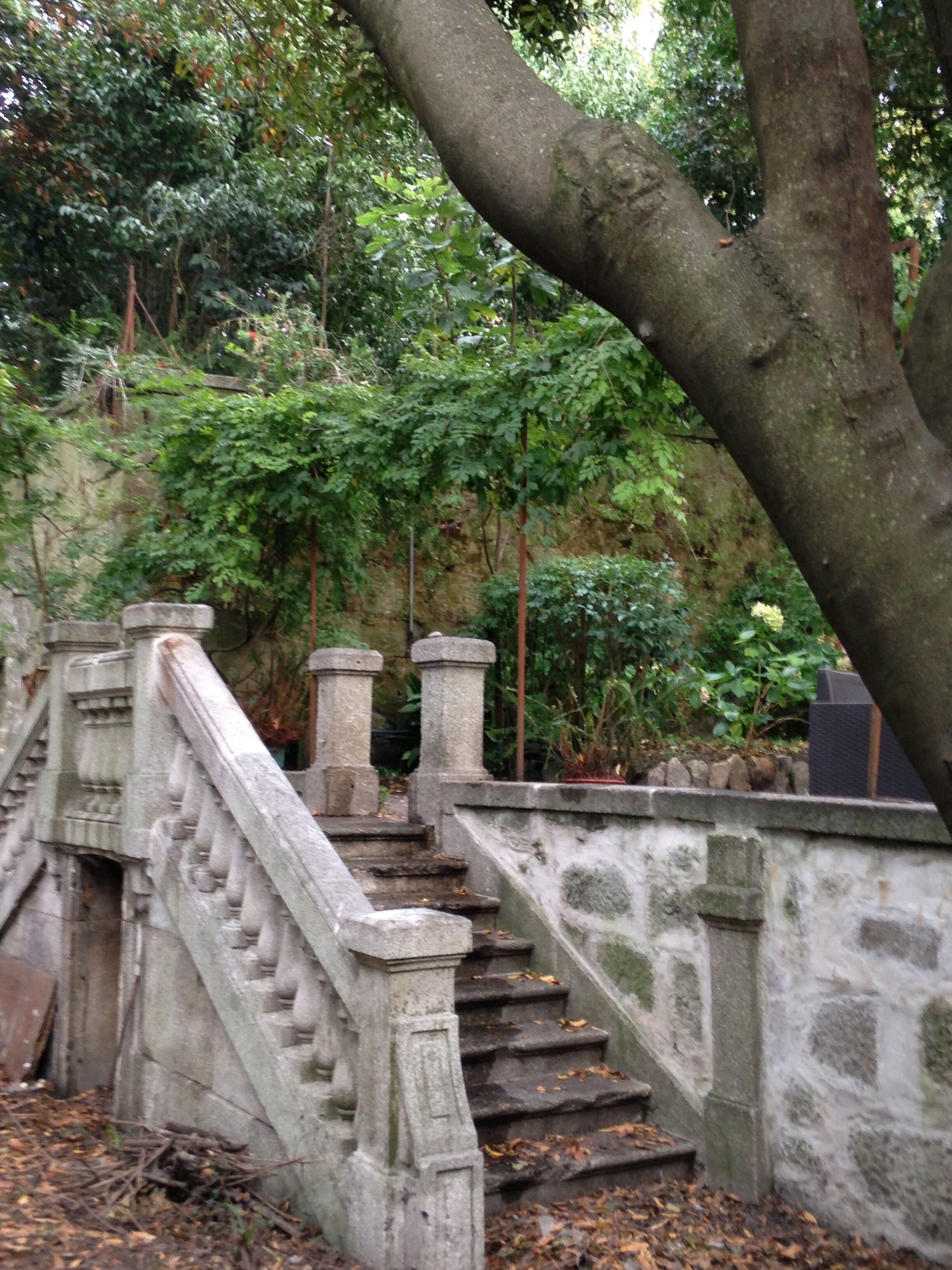 Photo - Palace Museum & National Monument - Espaço Palmeiras