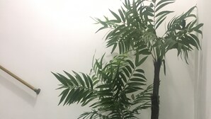Una escalera con una planta en maceta a su lado.