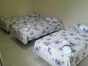 Minibar, tabla de planchar con plancha, wifi gratis y ropa de cama 
