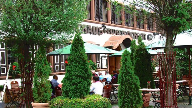 Een terras met tafels en stoelen, omringd door potplanten en bomen.
