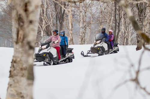 スノーモービル