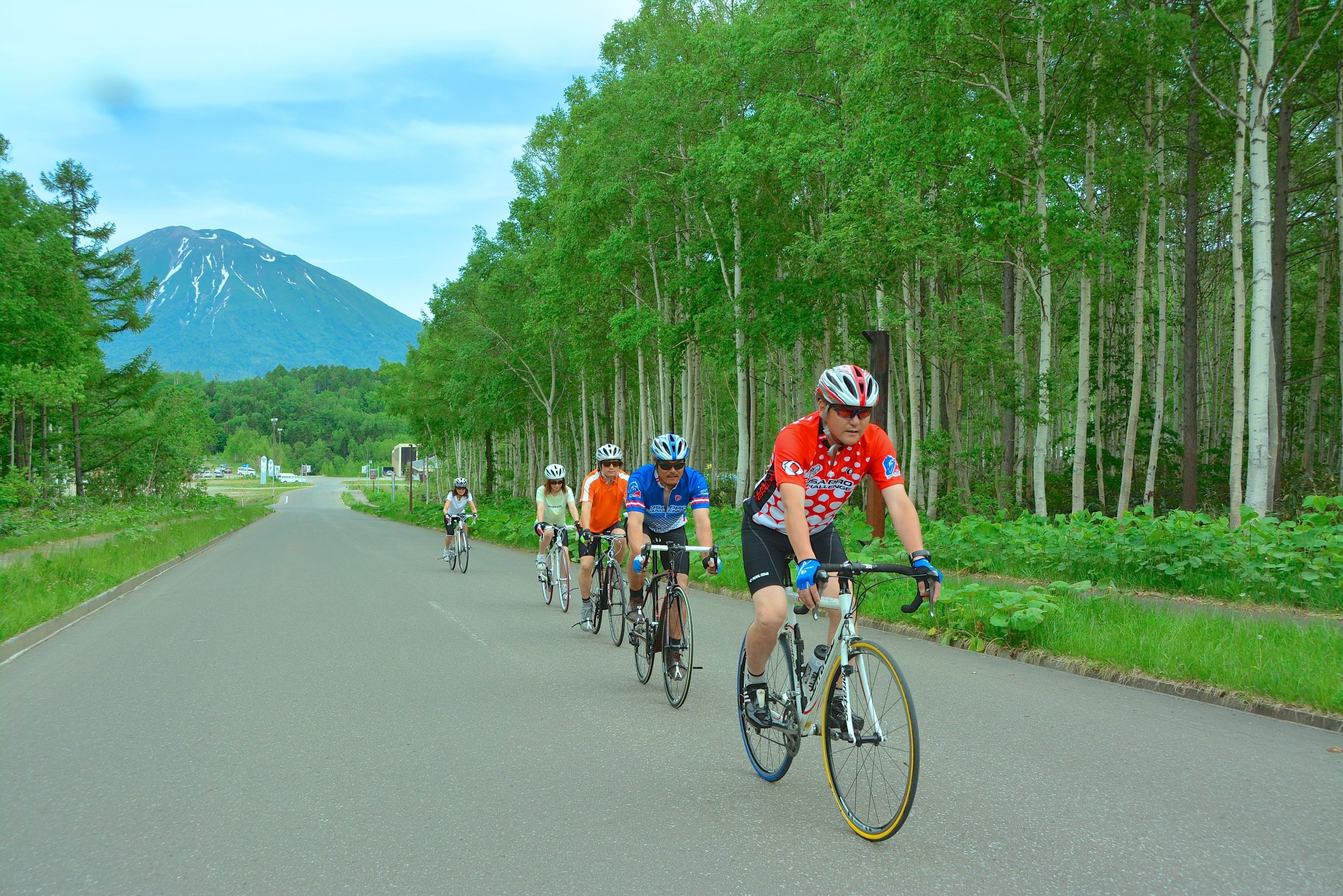 A group of cyclists on a paved road with a forested area and a mountain in the background.