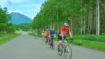 A group of cyclists on a paved road with a forested area and a mountain in the background.