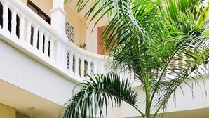 A courtyard with a stone wall, a white balustrade, and various tropical plants. - Soy Local Insignia (Cartagena)
