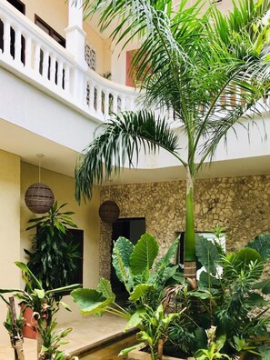 A courtyard with a stone wall, a white balustrade, and various tropical plants. - Soy Local Insignia (Cartagena)