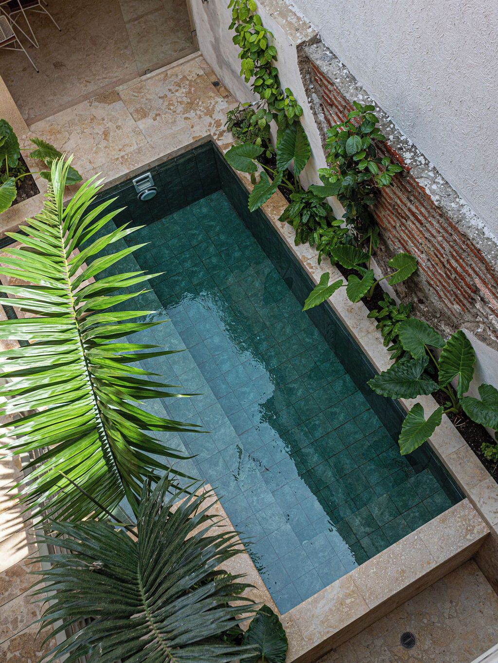 Piscina rectangular con borde de azulejos, rodeada de plantas y suelo de piedra.