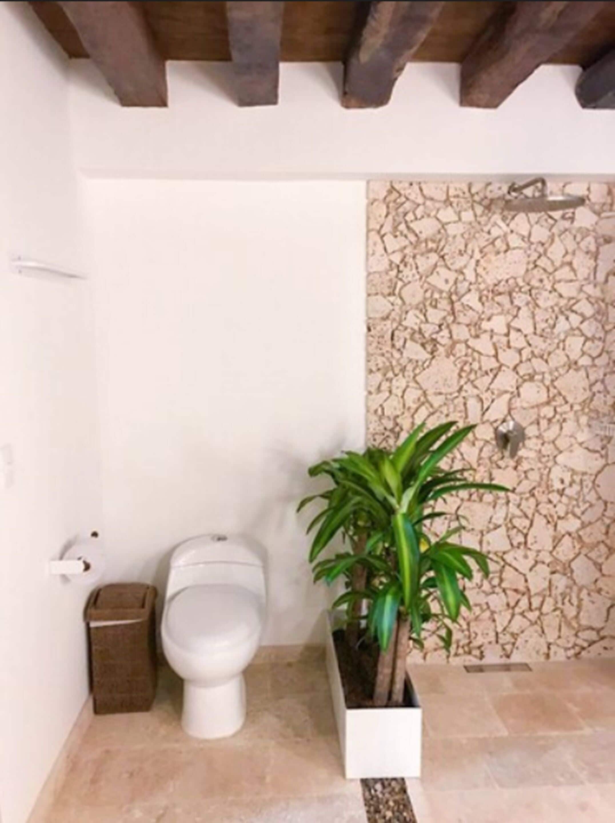 superior room (colonial) | bathroom | shower, rainfall showerhead, free toiletries, hair dryer