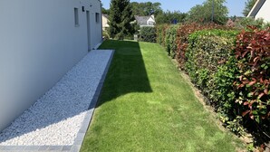 Ein schmaler Pfad mit gepflegtem Rasen und weißen Kiesrändern, gesäumt von dichtem Buschwerk und einem weißen Gebäude.