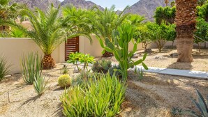 A desert garden with various cacti and palm trees, a wooden door, and a mountain backdrop. - The Exclusive Presidential House (La Quinta)