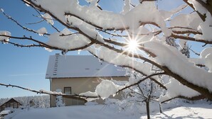 Una casa con techo nevado y ramas en primer plano.
