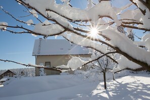 Ferienwohnung Hetzdorf - Winter