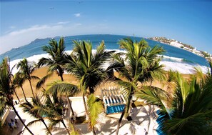 Une plage bordée de palmiers, une piscine et une vue sur l’océan.