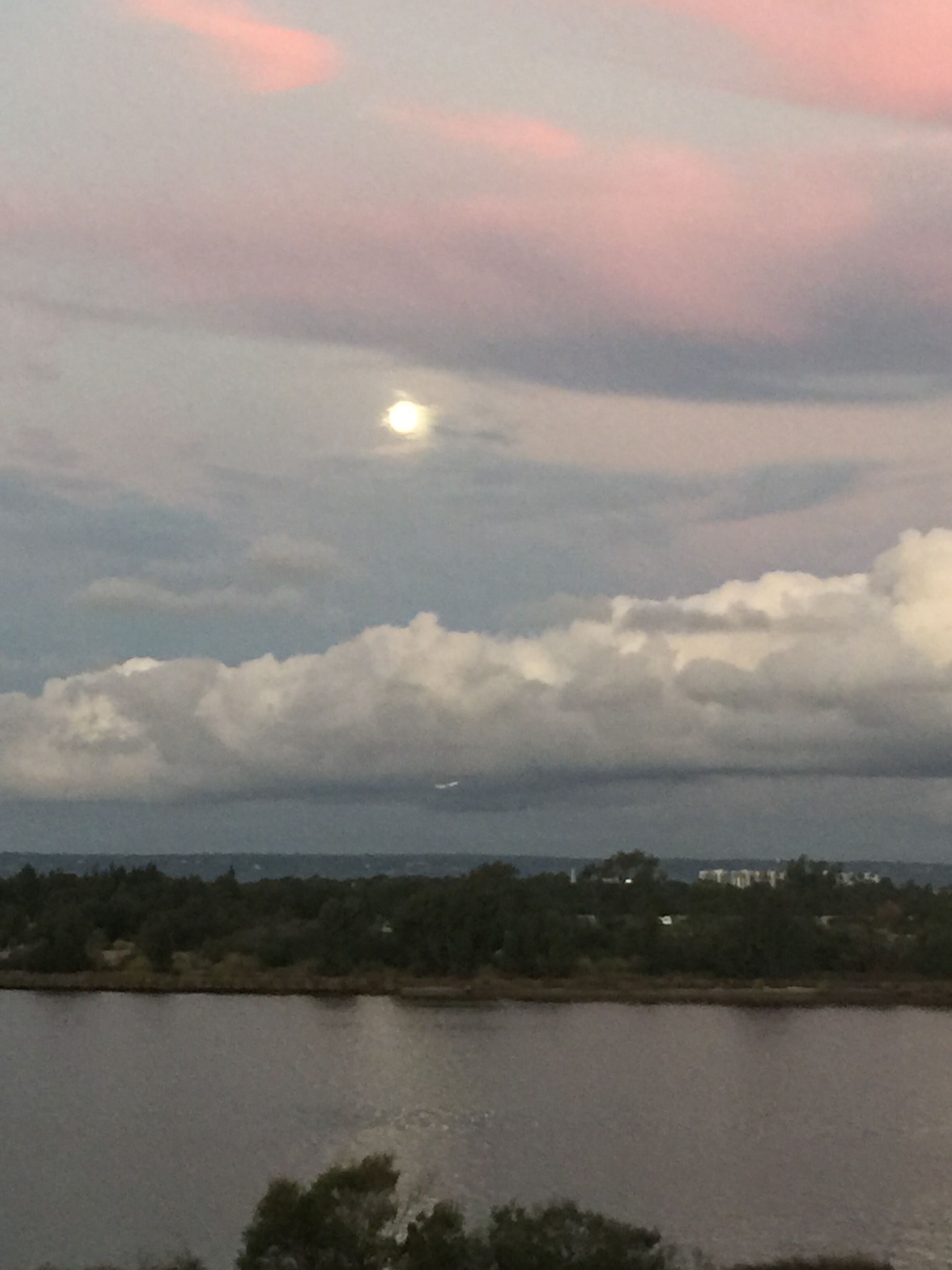 Uninterrupted Swan River Views -Executive Stay close to Optus Stadium & Casino. — image 4