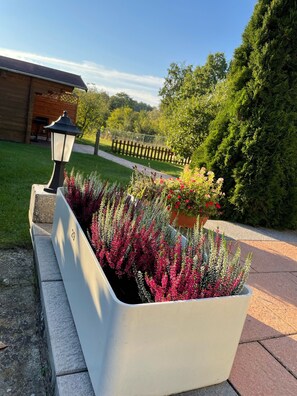 Jardí amb un parterre, un fanal i una tanca de fusta.