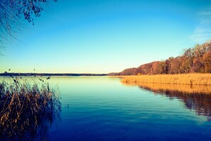 A calm lake with clear blue water, surrounded by trees and reeds. - Holiday house at Birkenwäldchen - Motzener See 150m (Motzen)