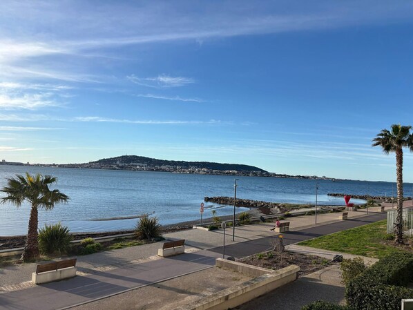 Unclassified image, 1 of 13, button