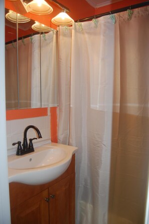 Duschwanne, Haartrockner, Seife, Shampoo