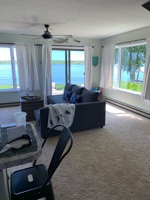 Smart TV, chimenea, libros, biblioteca de música