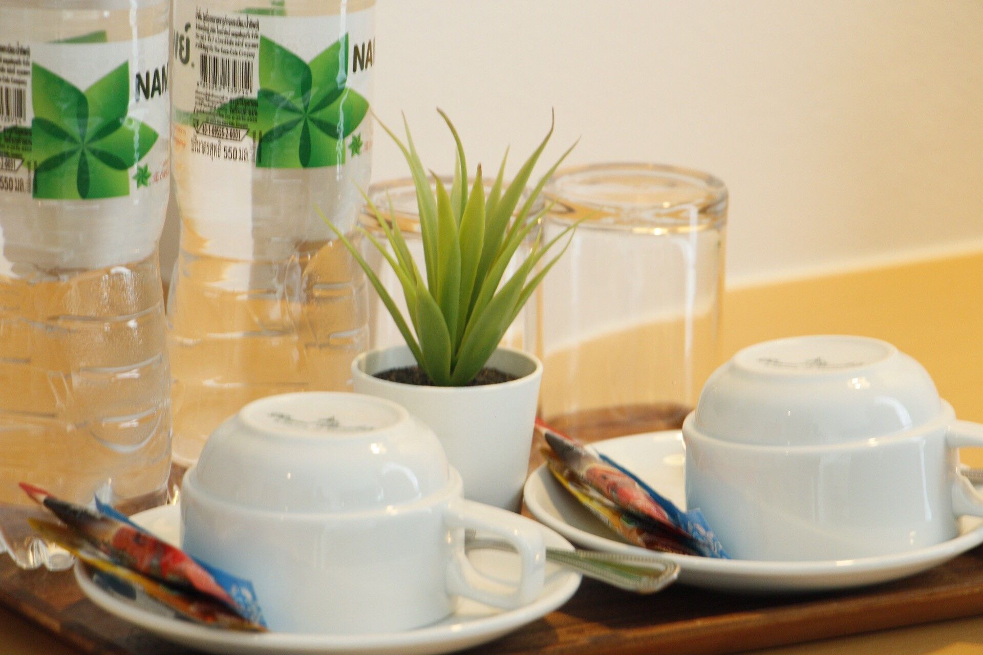 A table setting with white cups and saucers, a small potted plant, and a glass of water.
