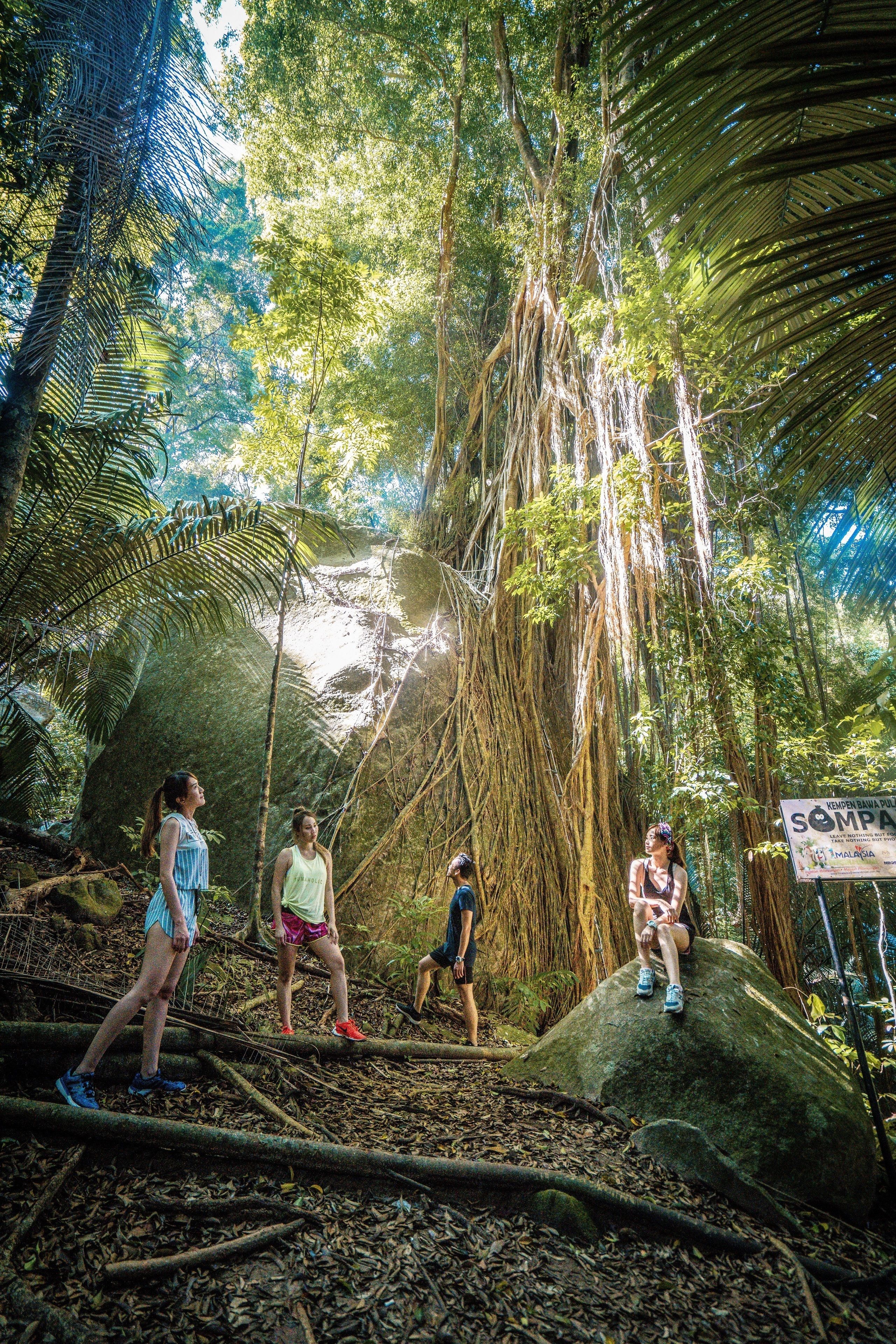 Un grupo de personas en un área boscosa, con un árbol grande y un cartel al fondo.
