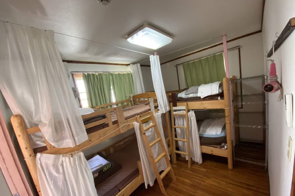 A bunk bed room with a ladder, a shelf, and a ceiling light.