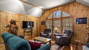TV, fireplace, books