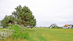 Un paysage rural avec un grand pin, des fleurs blanches et violettes, et un champ clôturé avec des maisons en arrière-plan.