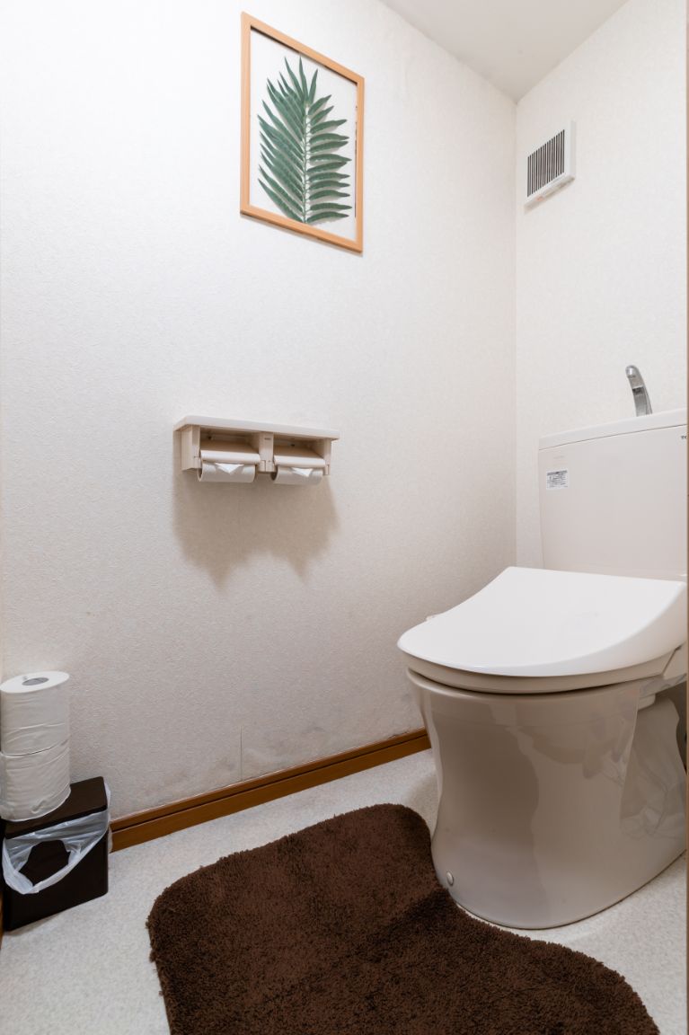 A small bathroom with a toilet, a framed plant, a towel dispenser, and a brown rug.