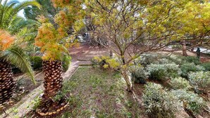 Un jardín con diversas plantas y un sendero.