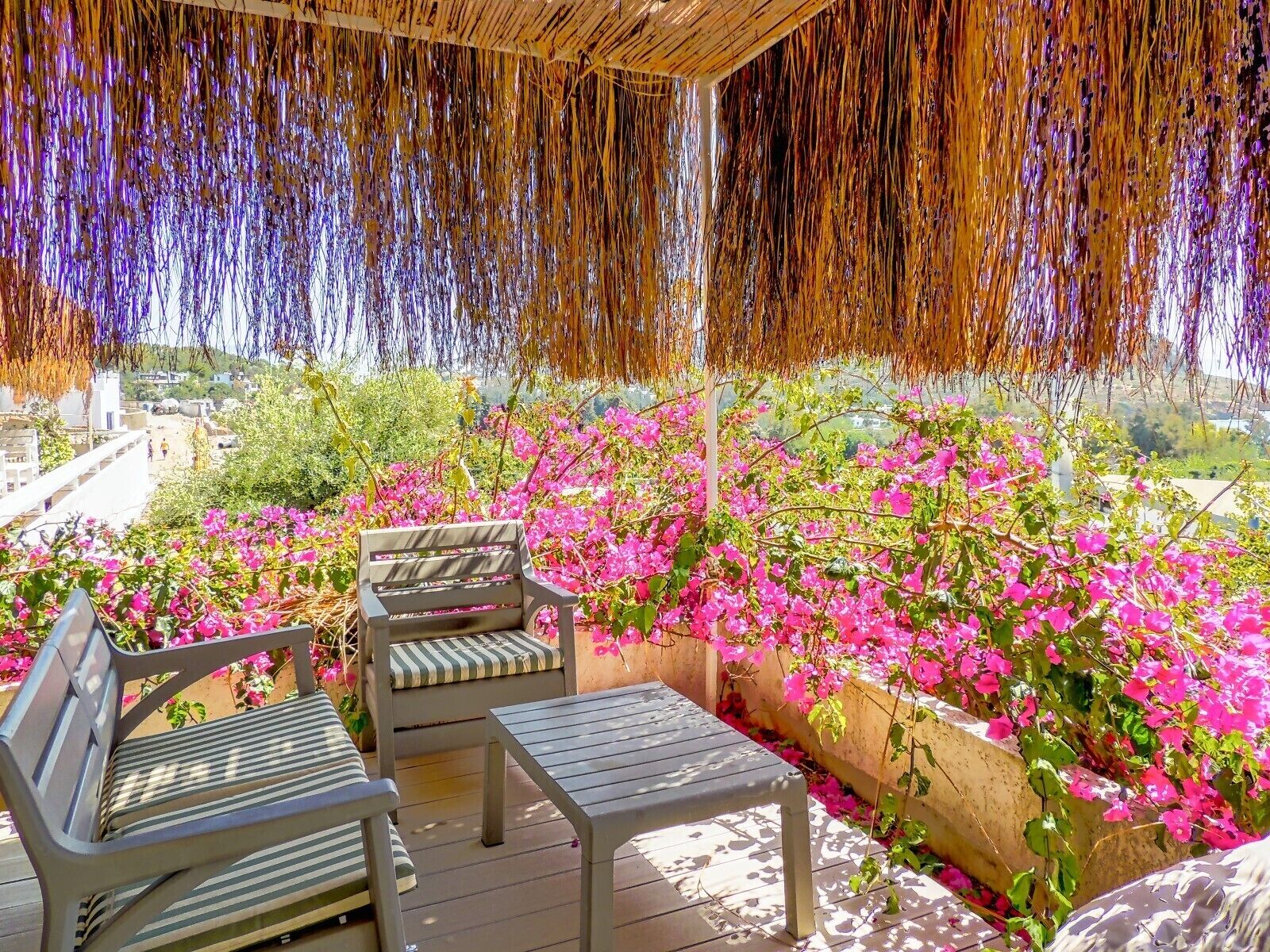 executive room | individually furnished, desk, laptop workspace, free wifi