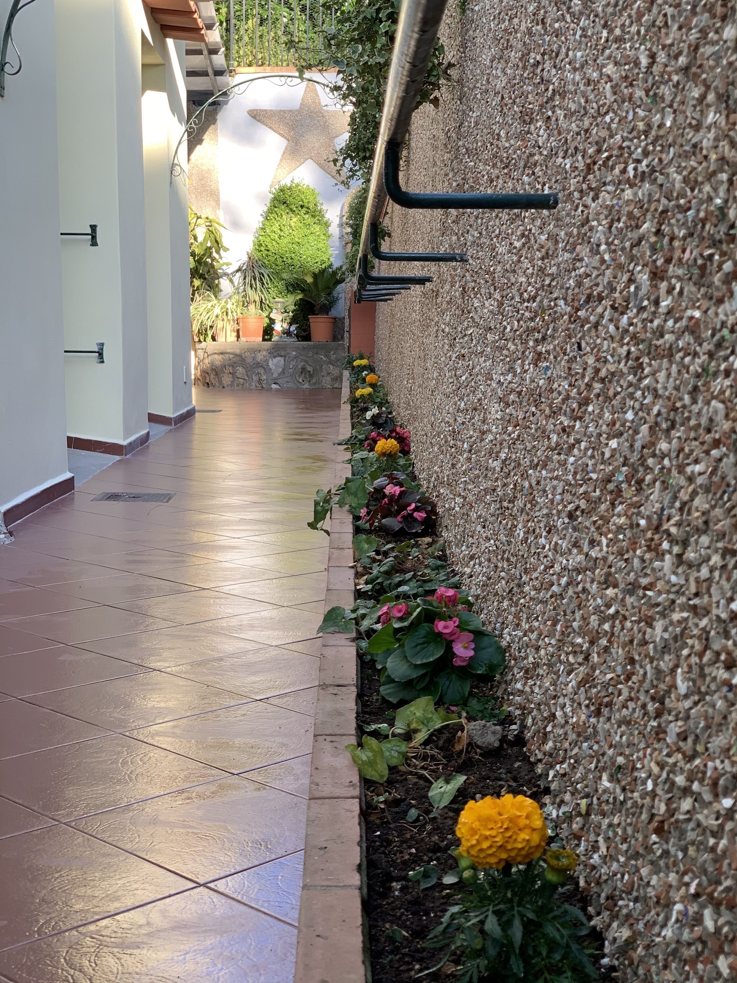 Foto - Hedera Capri B&B