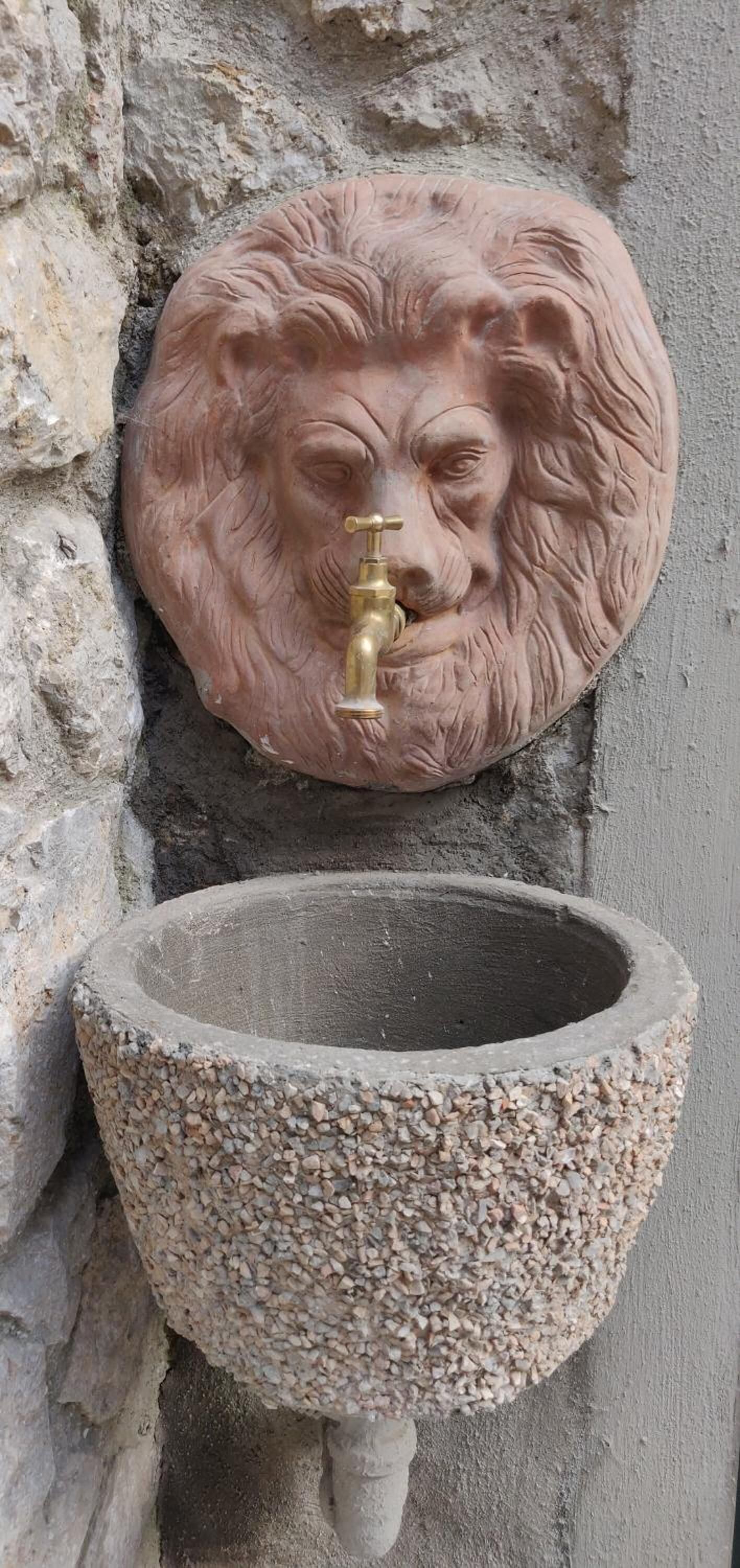 Foto - Hedera Capri B&B