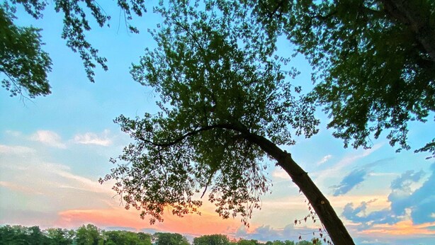 Uitzicht op een meer met twee blauwe stoelen onder een boom, een rustig meer en een zonsondergang op de achtergrond.
