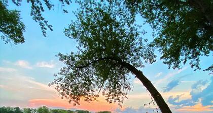 Earls Landing -Riverfront Cottage